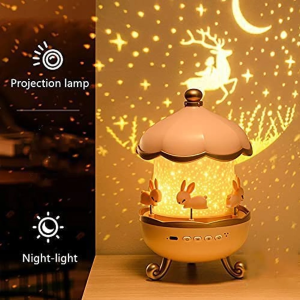 Rotating LED Night Light